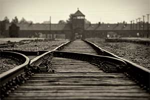 Viaggio a Cracovia, Viaggio ad Auschwitz